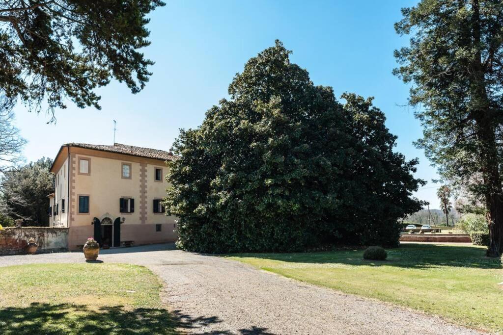 Villa Ott Crespina Buitenkant foto