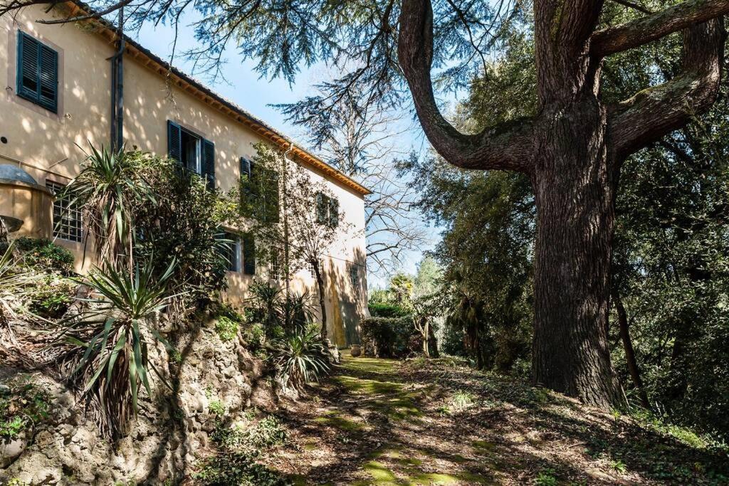 Villa Ott Crespina Buitenkant foto