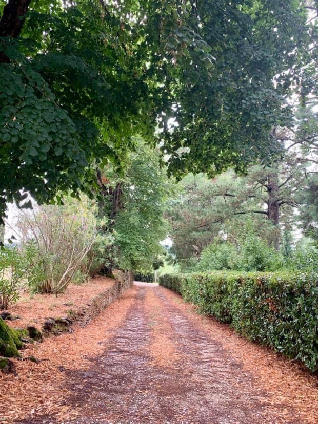 Villa Ott Crespina Buitenkant foto