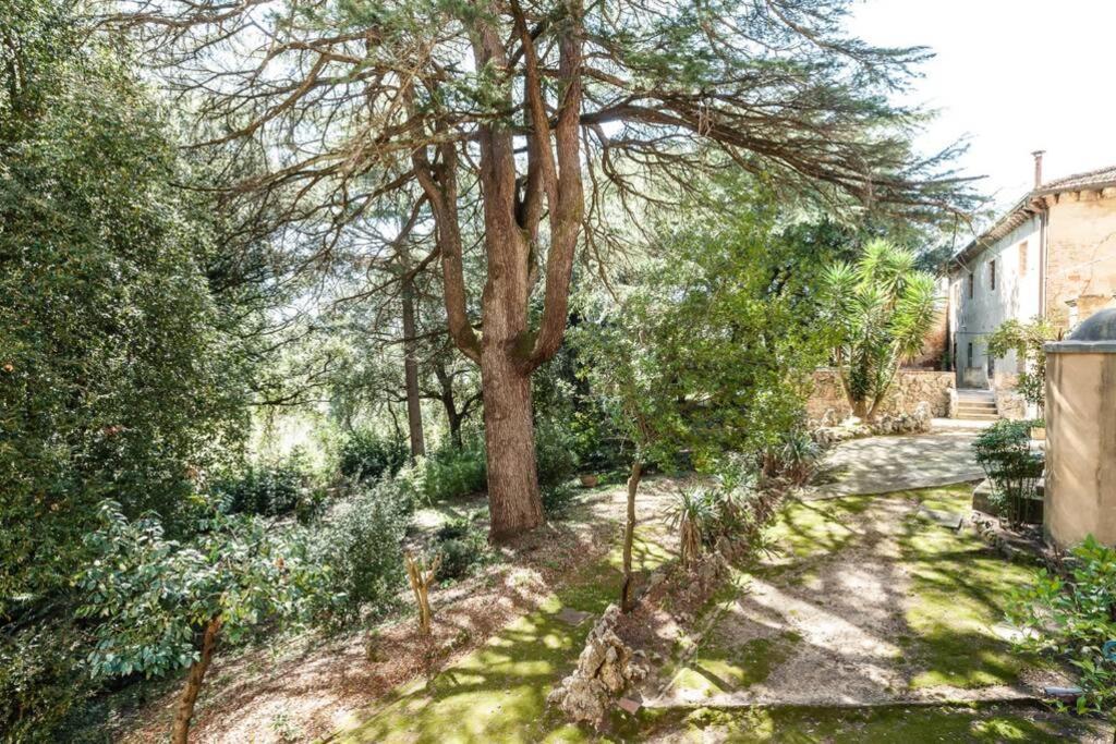 Villa Ott Crespina Buitenkant foto